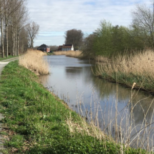 Sint Kruis winkel moervaart